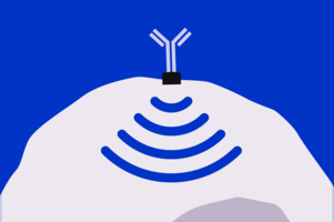 Illustration of immune cell releasing signals