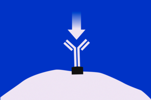 Illustration of immune cell being triggered